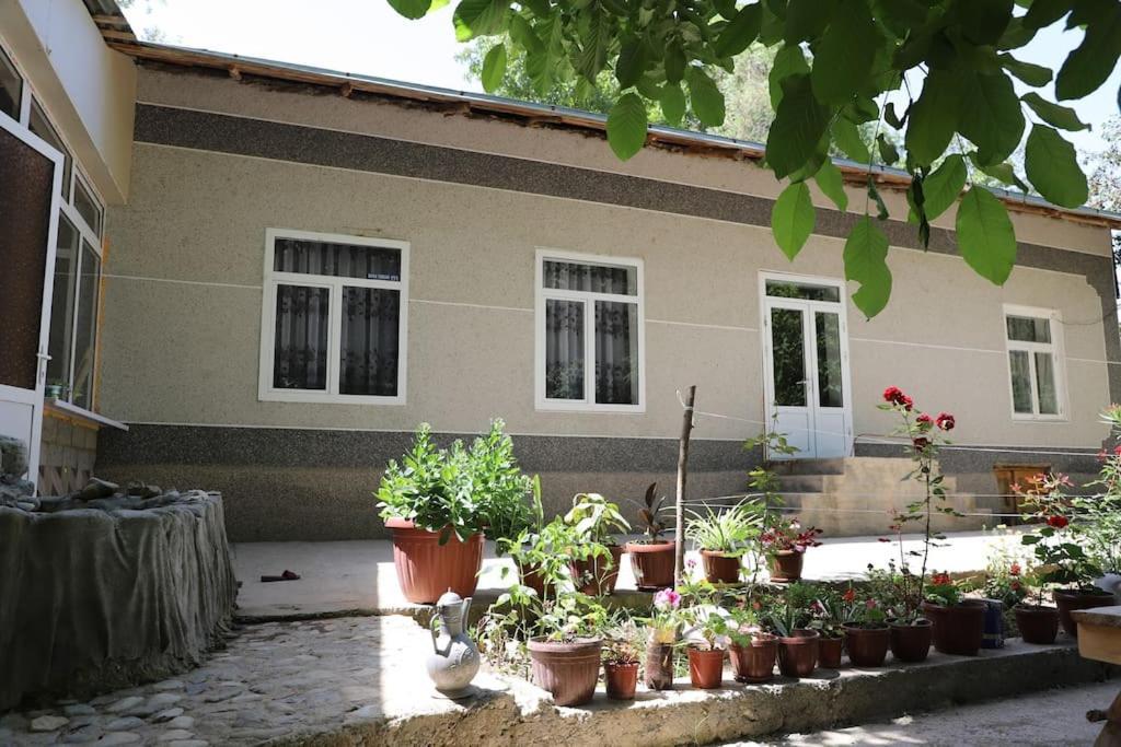 Forest Guest House Mirzakishlak Exteriör bild